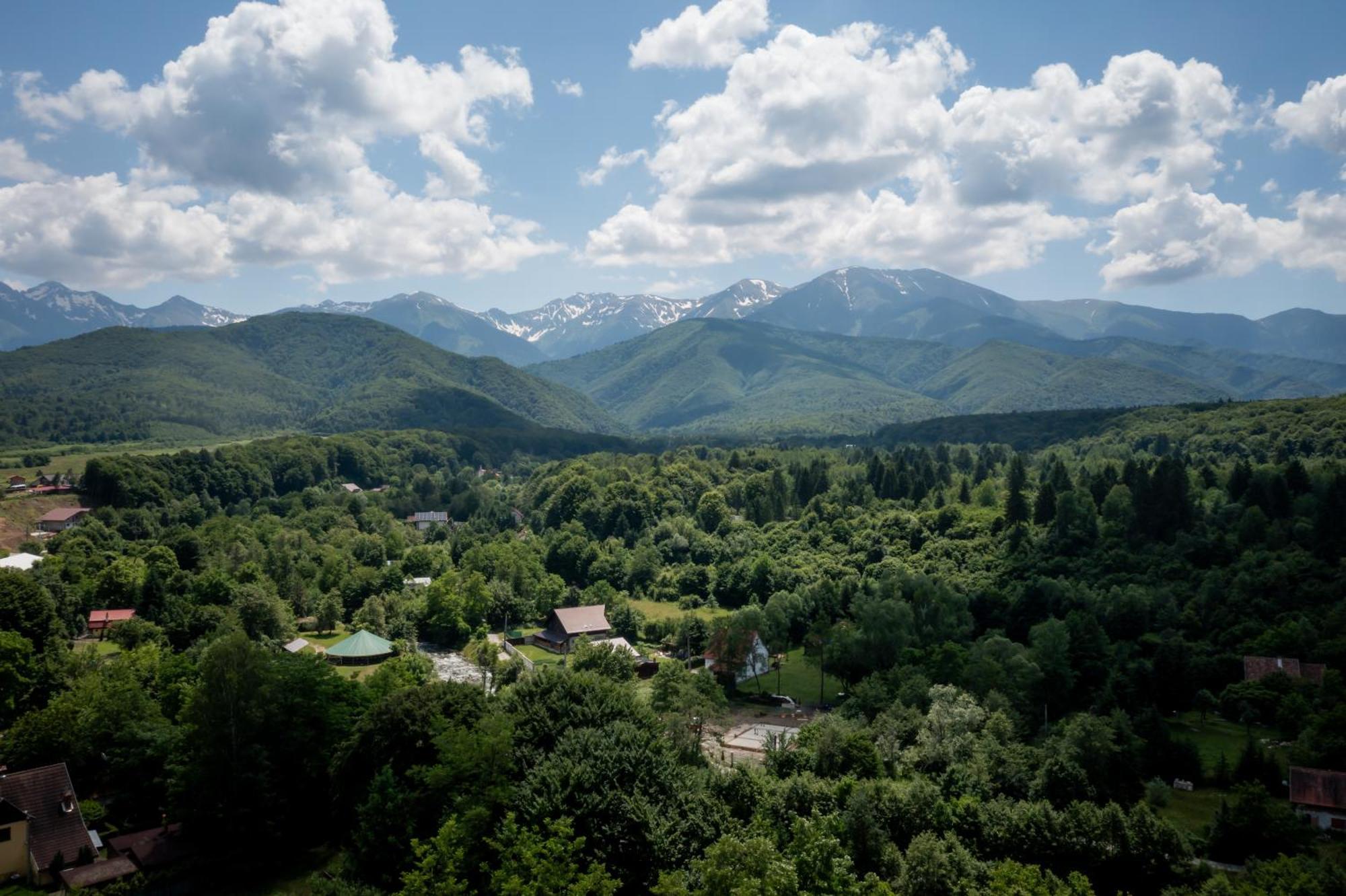 Evergreen Chalet Avrig Luaran gambar